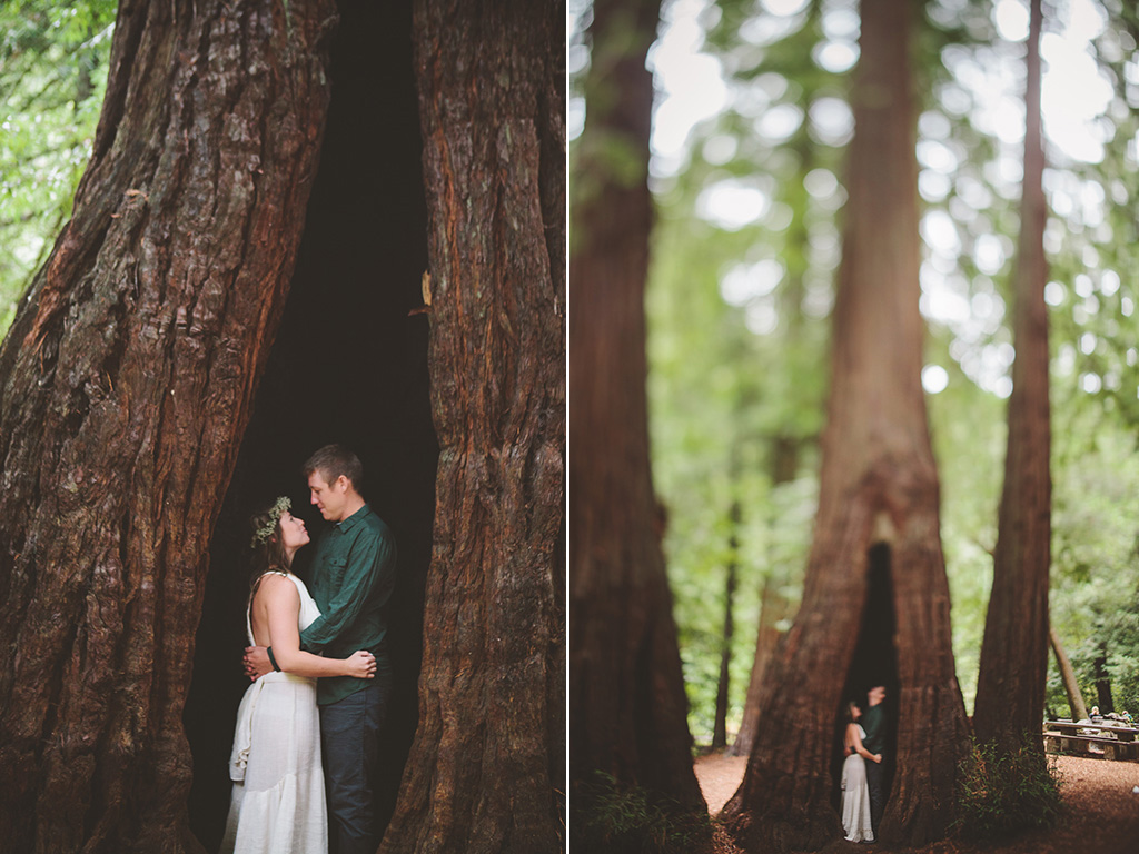 redwood grove wedding photographs