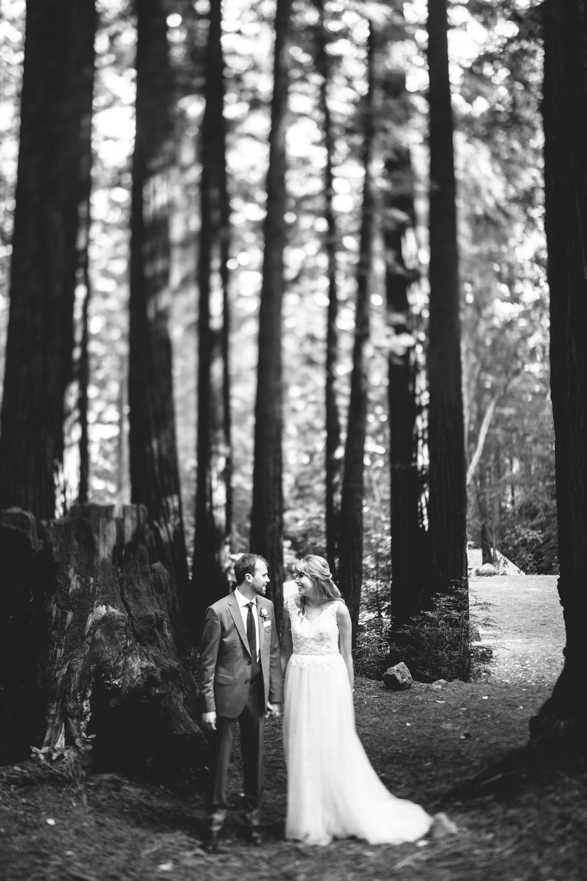Waterfall Lodge and Retreat wedding in the redwoods of santa cruz
