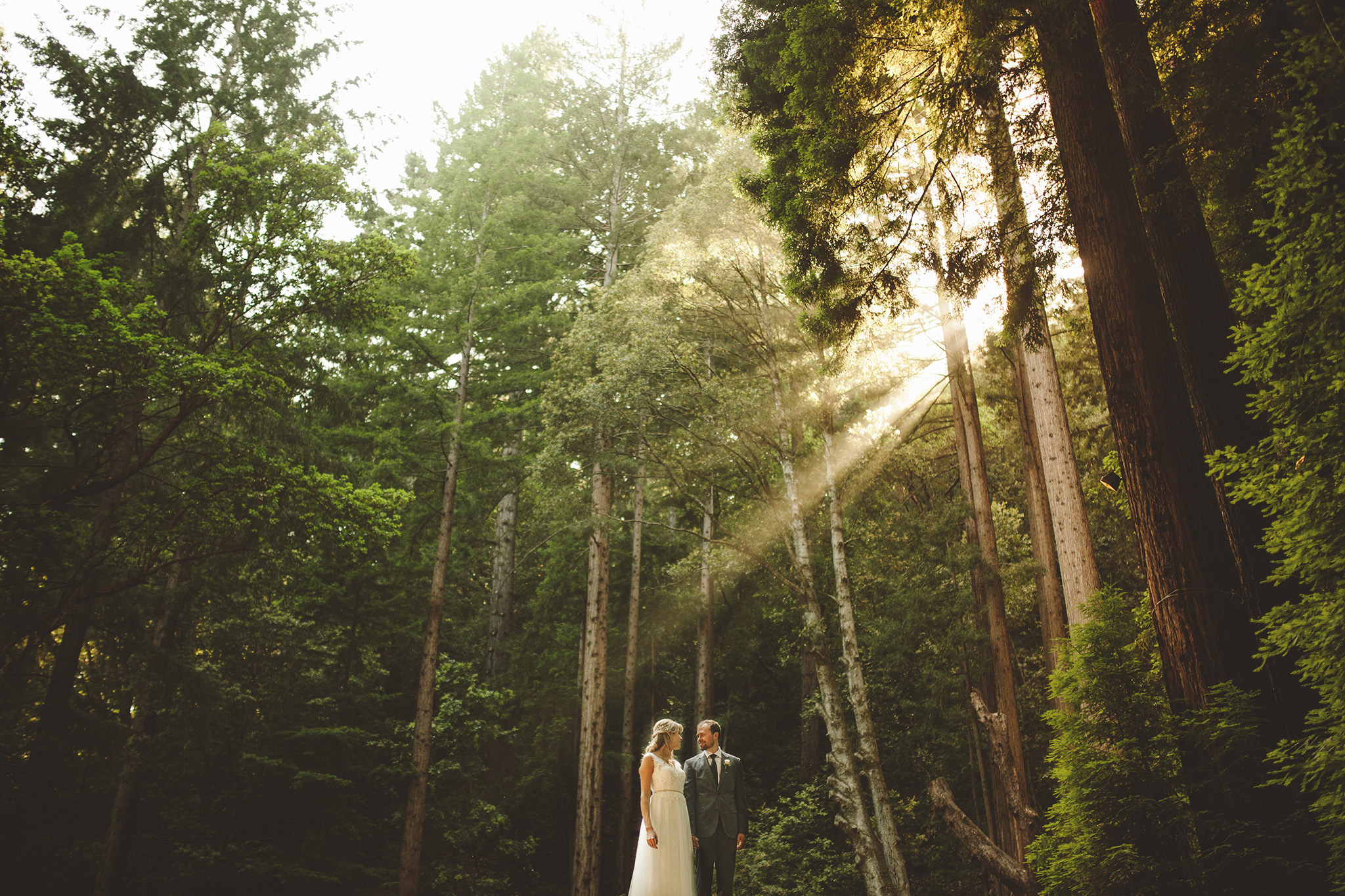 Santa Cruz California Wedding in the Redwoods
