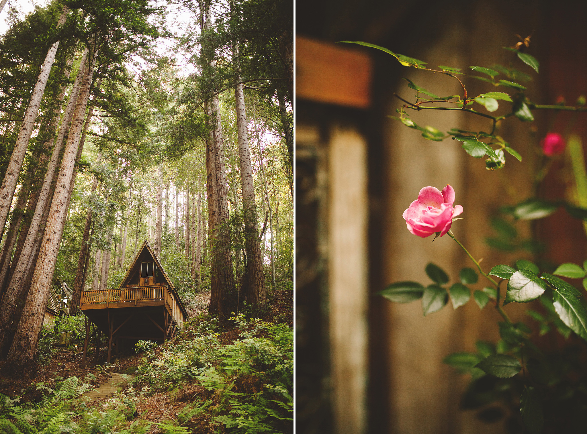 Waterfall Lodge and Retreat cabins 
