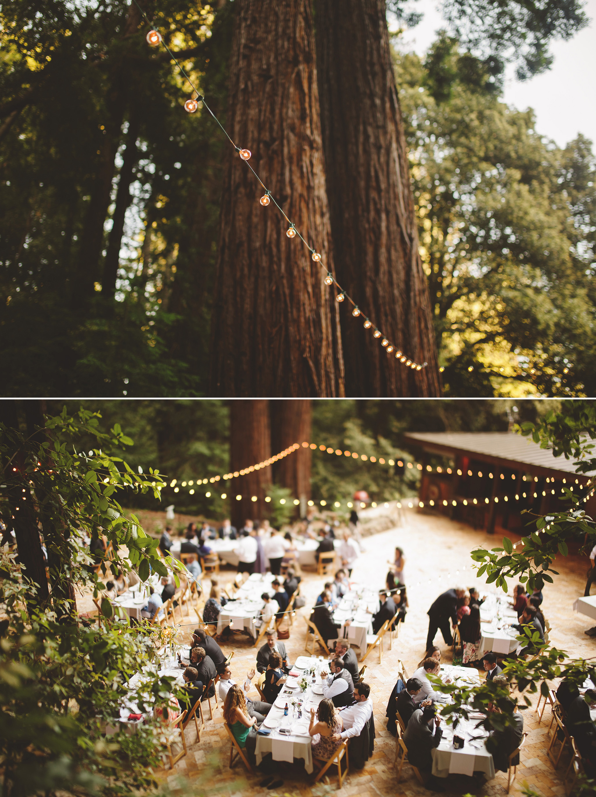 Waterfall Lodge and Retreat reception site in the redwoods