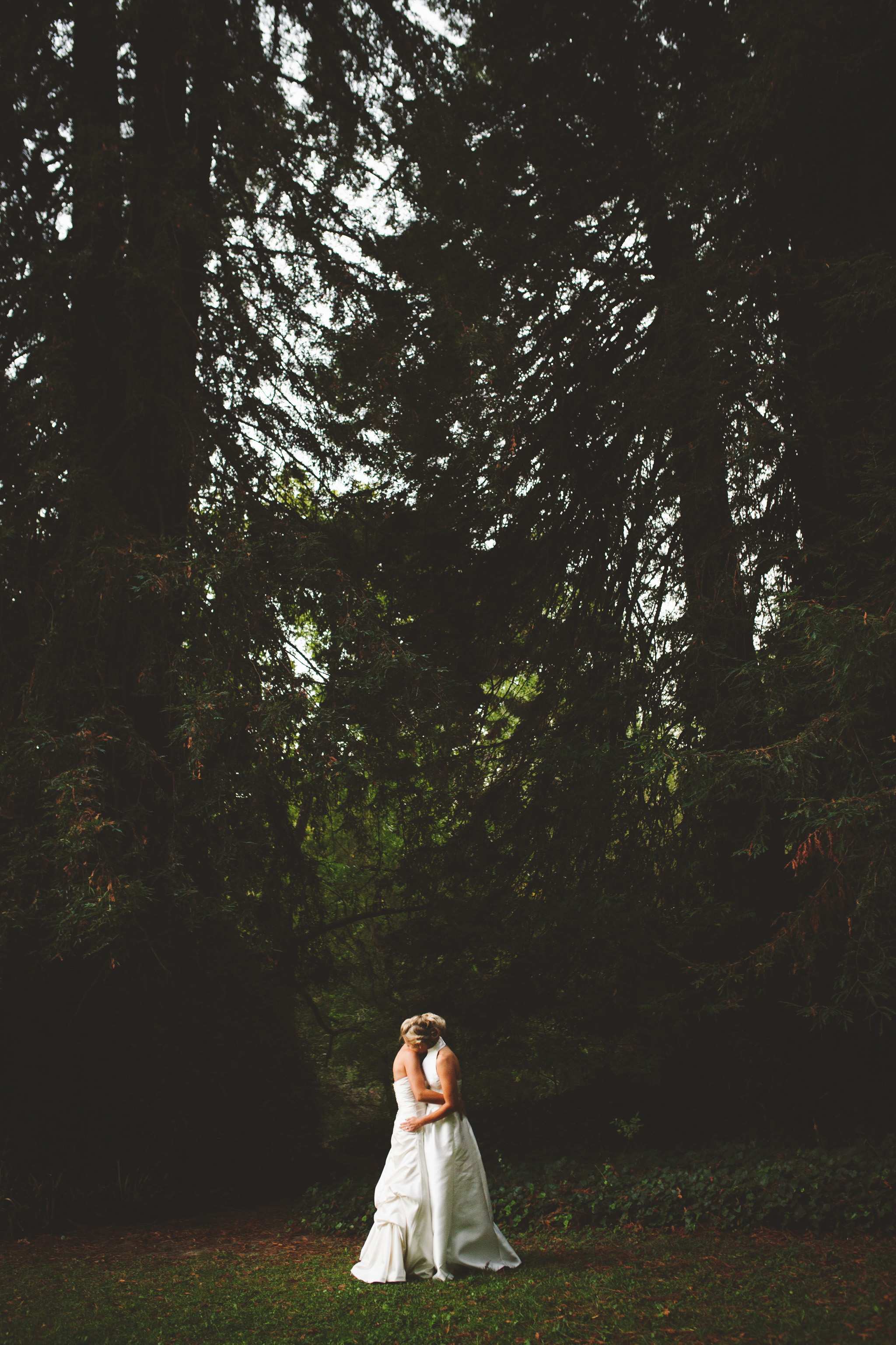 LGBTQ wedding pictures in Guerneville in the redwoods at Dawn Ranch