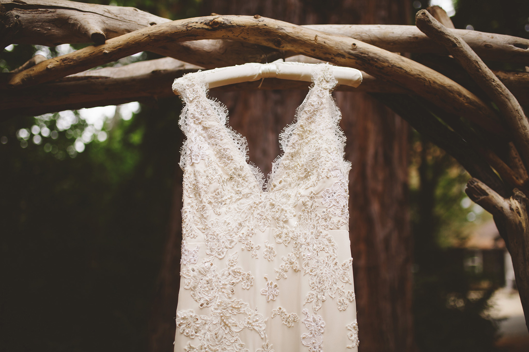 Wedding dress in the Redwoods