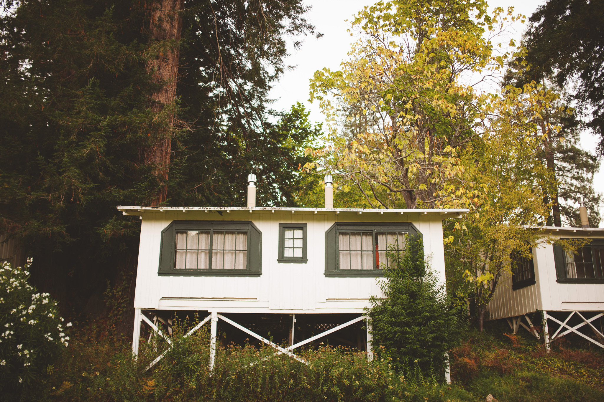 Dawn Ranch Lodge cabin 
