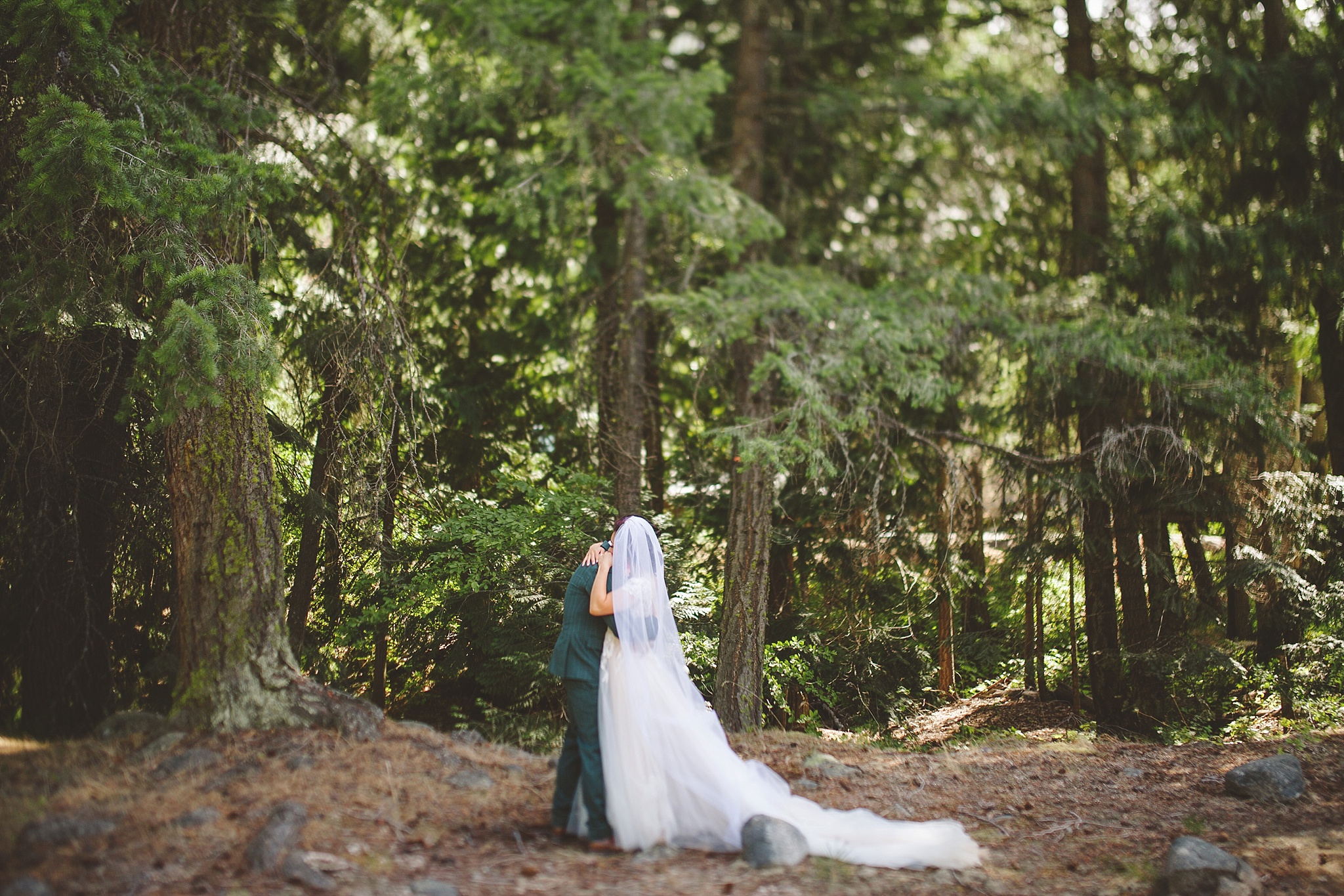 emotional first look in the woods of wa