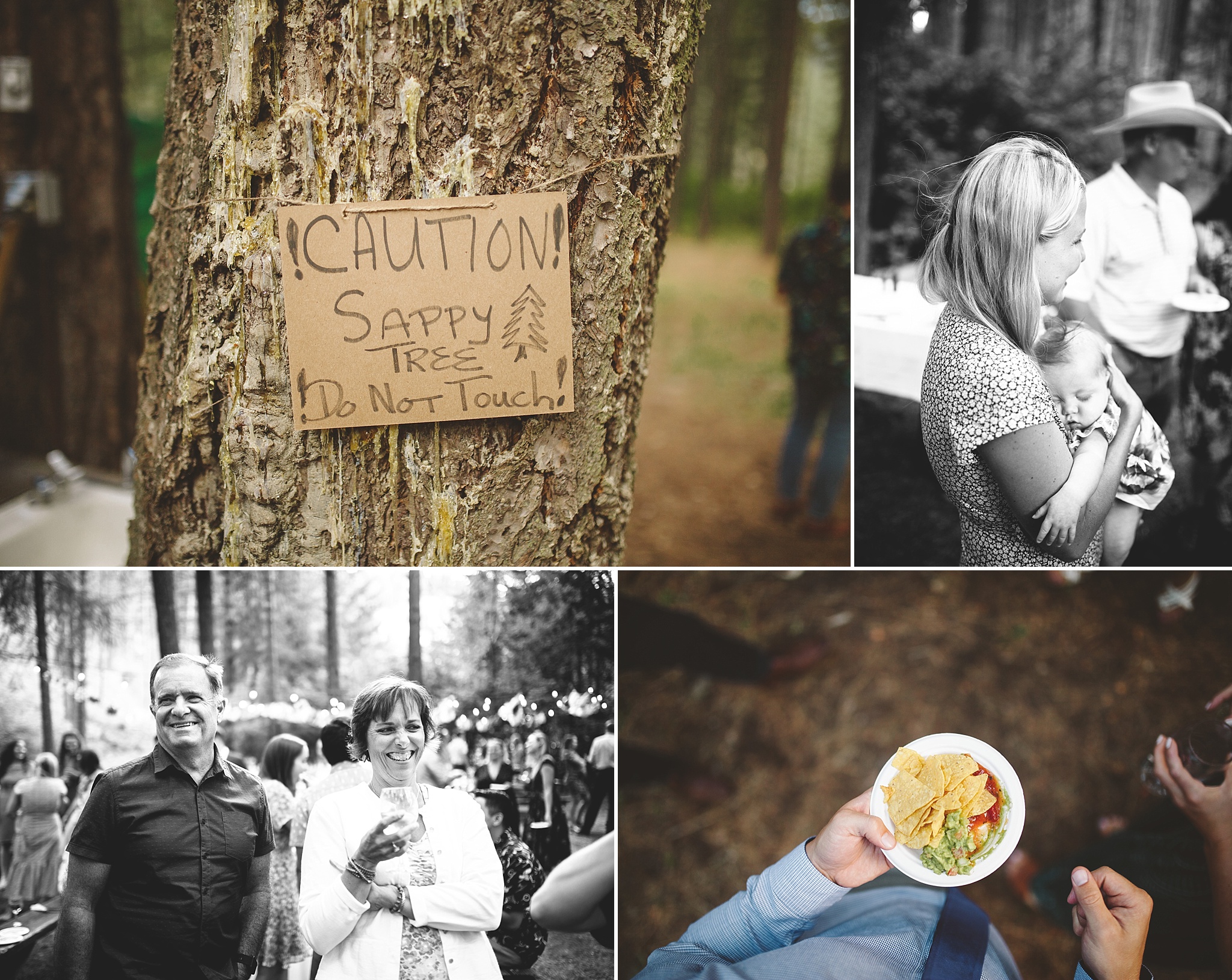wedding cocktail hour in the woods